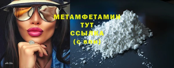 хмурый Мегион