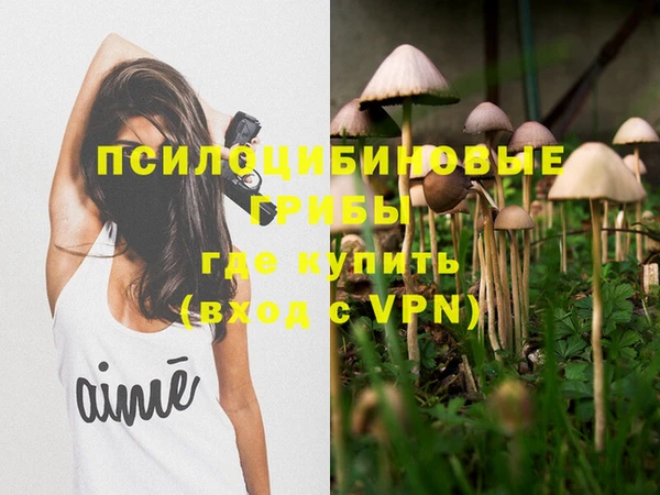 ГАЛЛЮЦИНОГЕННЫЕ ГРИБЫ Медвежьегорск
