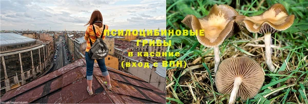 марки nbome Медногорск
