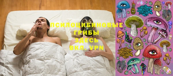хмурый Мегион