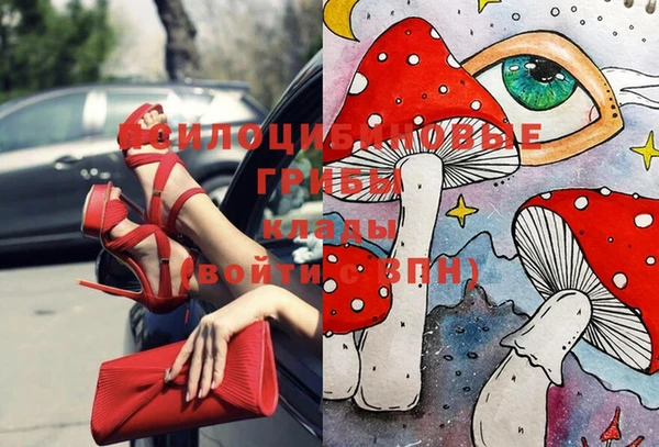 хмурый Мегион