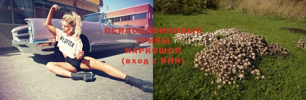 хмурый Мегион