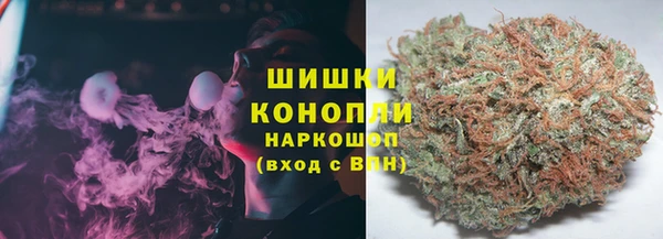 ГАЛЛЮЦИНОГЕННЫЕ ГРИБЫ Медвежьегорск