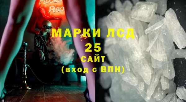 хмурый Мегион